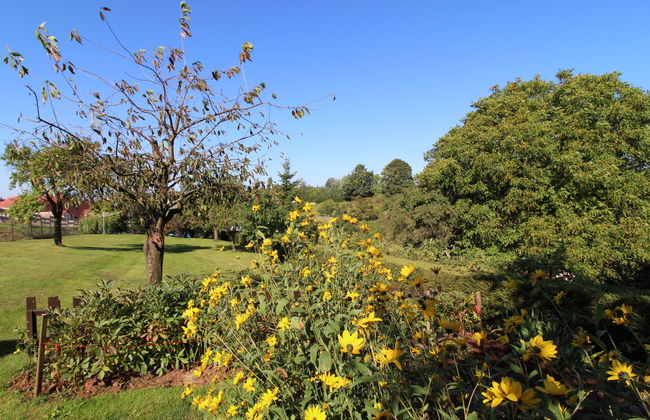 Červený Kostelec - Foto 28