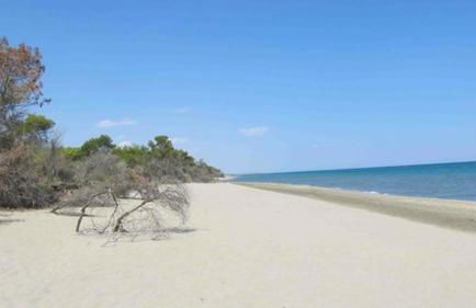 Casa Vacanza Piazza Gramsci 1 - Photo 24