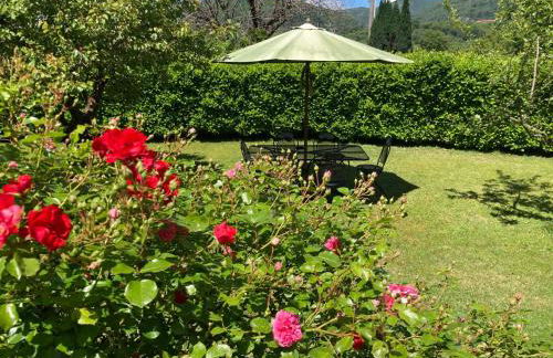 La Ca del Bicc - Foto 1