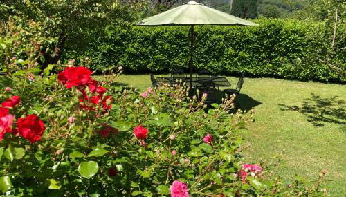 La Ca del Bicc - Foto 1, Garden, Garden view