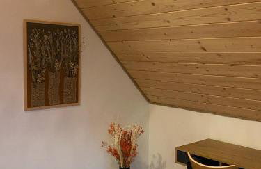 elements - Solina, z sauną - Foto 39