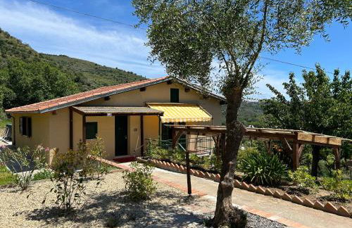 La Casa negli Ulivi, con piscina - Foto 1