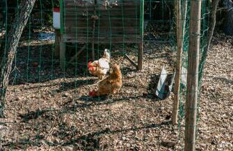 Le JARDIN DES DELIS gite NEUF avec piscine bio UV - Foto 6
