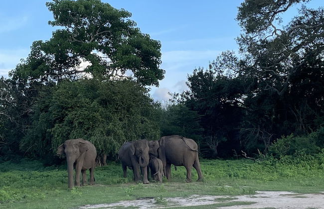 Surf N Sun - Foto 15