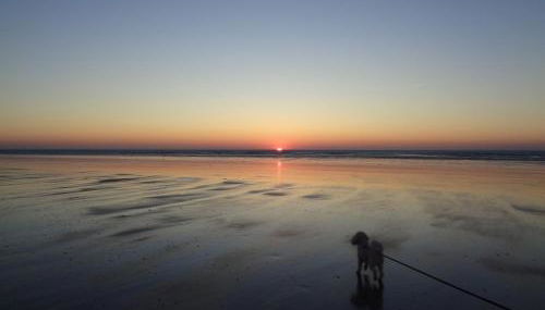 Le Crépuscule, 300m de la plage, animaux de compagnie bienvenue - Foto 5