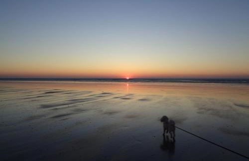 Le Crépuscule, 300m de la plage, animaux de compagnie bienvenue - Foto 5
