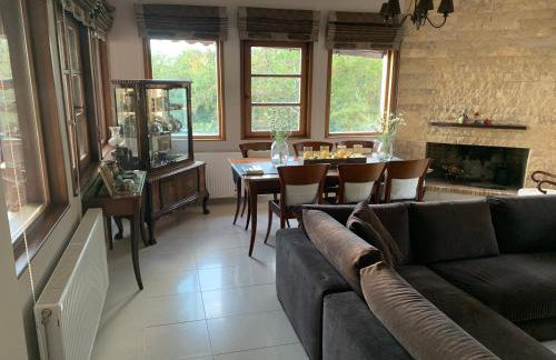 Elis superb villa - Foto 22