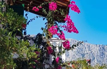 Manora Sucuraj one bedroom apartment - Foto 2