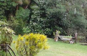 Sitio Santa Lucia - Foto 11