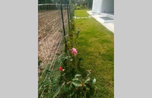 Alykes Volos - Photo 10