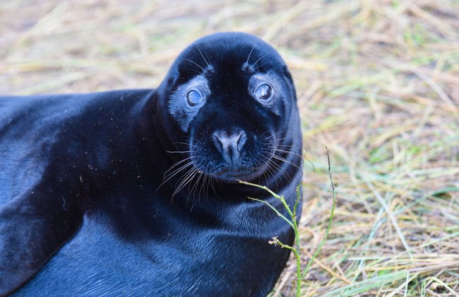 2-bed 18th Century Barn - Sleeps 6 - Pet Friendly - Foto 13