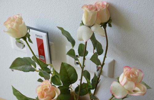 Ferienwohnungen Am Brunnen - Nähe Europapark, W-LAN, Klimaanlage - Foto 37