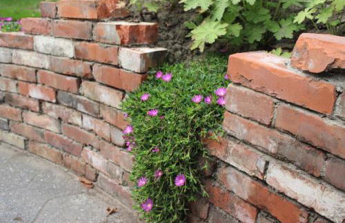 Ferienwohnung Lorenz´ Traumzeit - Emsland - Photo 7