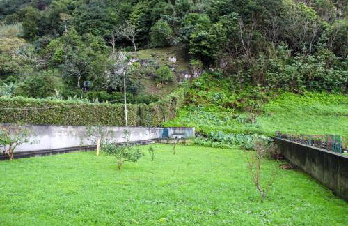 Waterfall House - Photo 36