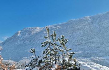 La BREZOUNIÉRE 2 - Foto 43