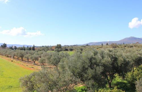 Olive Tree House II - Foto 6