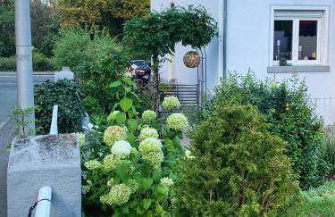 Sascha´s Home - Foto 21