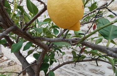 Wisteria Cottage at Gites de la Vienne - Foto 15