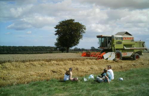 Brackenborough Hall Coach House - Stables - Foto 9