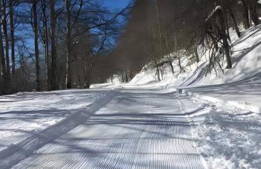Gîte À La Ferme Au Puy Mary - Foto 18