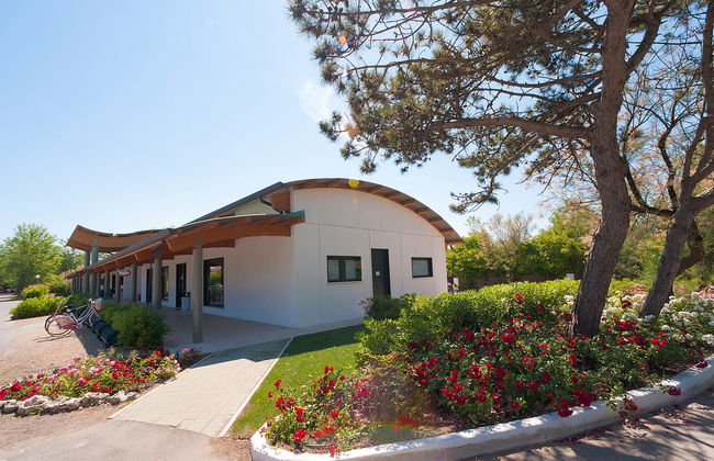 Happy Plus - Foto 22