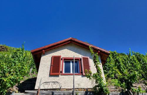 Ferienhaus Am Moselstausee - Foto 44