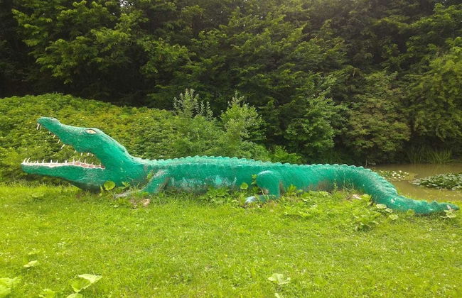 Turbaza Serebryany Klyuch - Photo 29