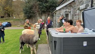 Stunning Barn Conversion with HOT TUB and ALPACAS - Ty Cerrig Barn - Foto 2