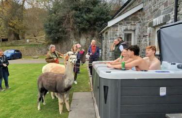 Stunning Barn Conversion with HOT TUB and ALPACAS - Ty Cerrig Barn - Photo 2