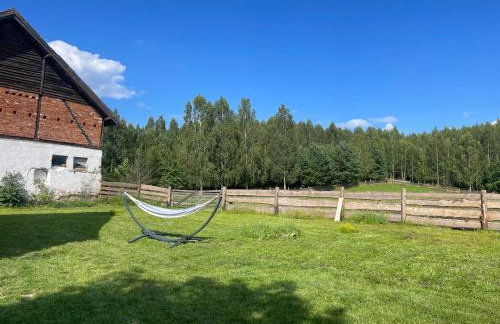 Żurawi klangor - dom z sauną i jacuzzi - Foto 20