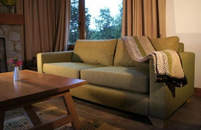 Las Morillas Huemul Lodge - Foto 29