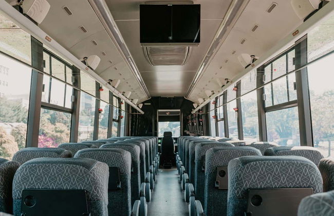Paseo en el Tren de Pampa + Visita a la bodega Almadén - Foto 3