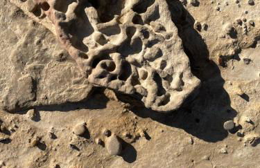 Alojamientos La Alberca - Foto 64