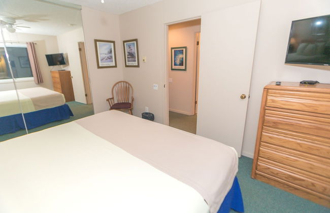 The Grey Gull - Foto 72