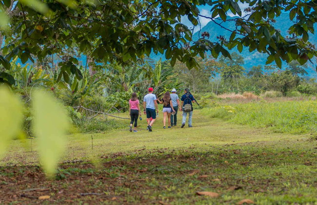 Avistamento de bichos-preguiça em La Fortuna - Foto 4