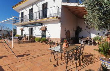 Huerta Carrión, Finca en El Pedroso - Foto 19