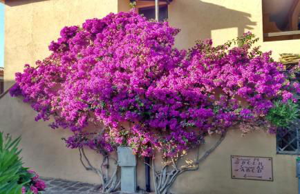 Dany's Home in Baia de Bahas - Foto 8