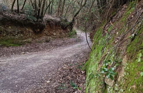 Casa Paola - Foto 22