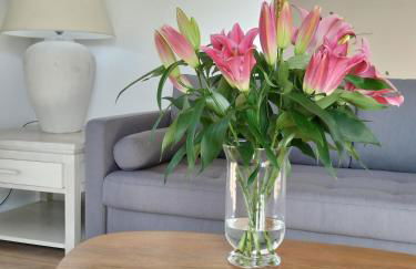 Les Planes de Viladrau - Foto 33