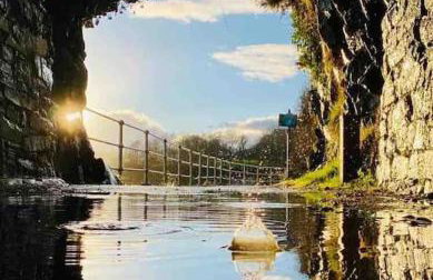 Adorable bedsit for you, partner and your pet! - Foto 29