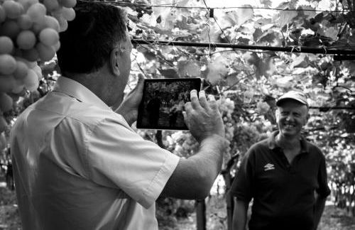 Masseria Marico - Foto 14