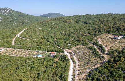 Country house Maslina by Villas Guide - Foto 8