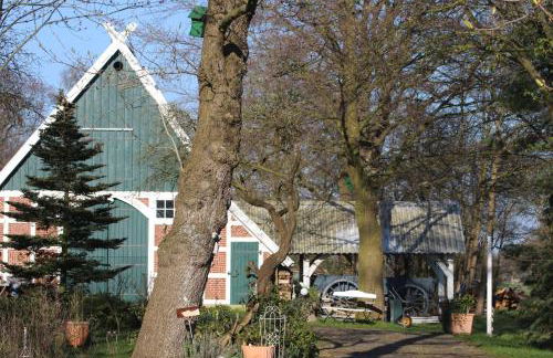 Erlenhof-Steinau-Fachwerkhaus-mit-Reetdach - Foto 4