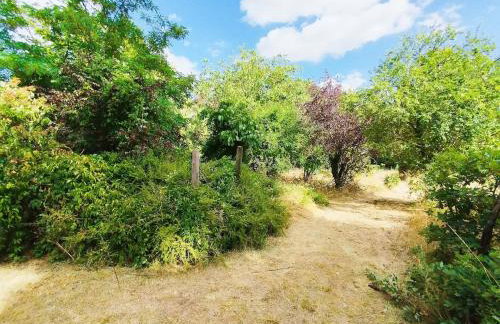 Les Studios Grenouilles - Foto 29