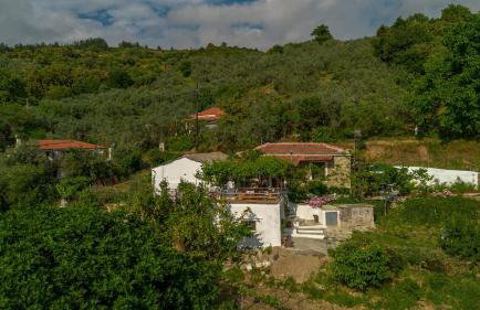 Zelis In Pelion Greece - Foto 69