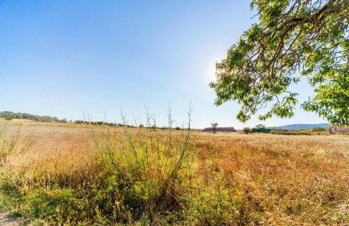 Cases d’Alcudiarrom - Foto 25