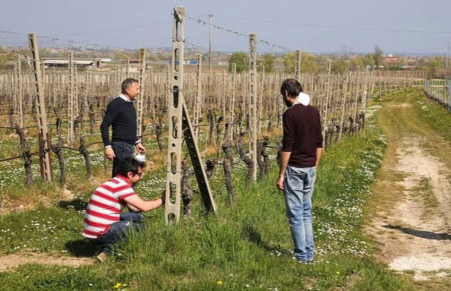 Visita a una cantina di Pozzolengo - Foto 2