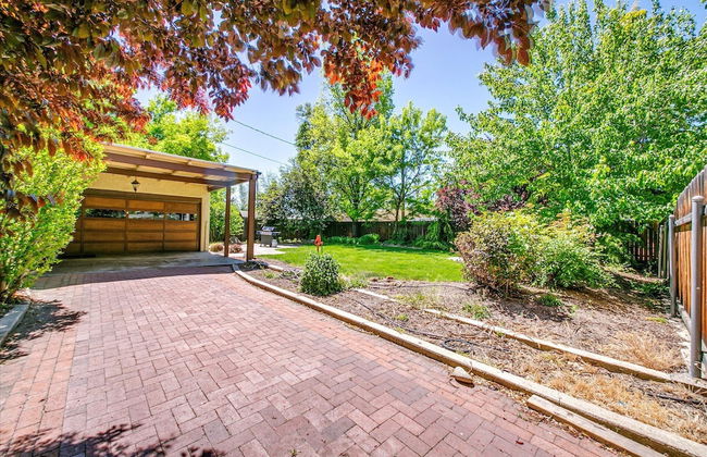 The Brandy Alexander - Foto 45