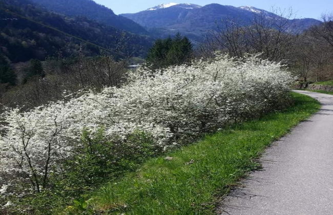 Flat by Lake Iseo With Mountain Views - Photo 34