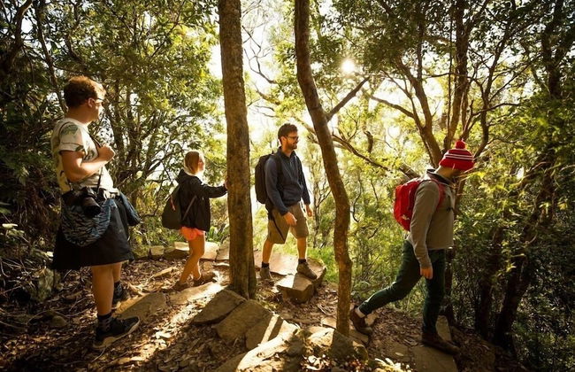 Mt Warning Rainforest Park - Photo 13